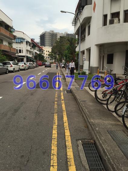 Tiong Bahru Estate (D3), Apartment #65843362
